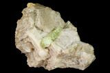 Yellow-Green Fluorapatite Crystal in Calcite - Ontario, Canada #137104-2